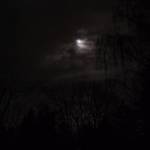 Thomas Weber profile picture