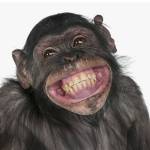 Micha1978 Profile Picture